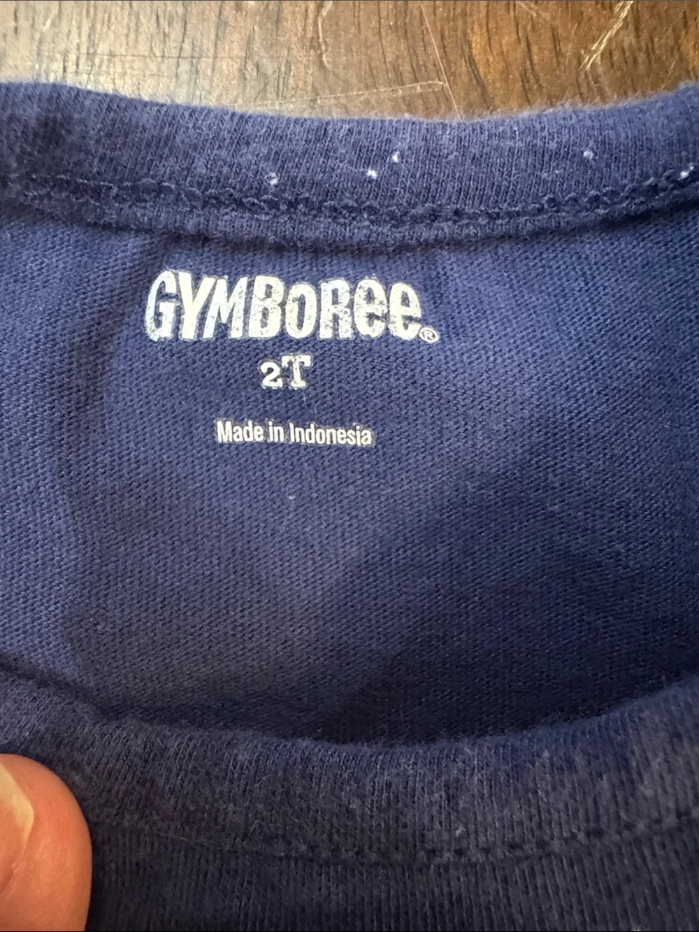 Gymboree Navy Tee with Mint Gingham Shorts